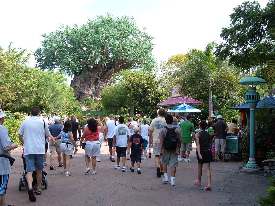 Disney’s Animal Kingdom